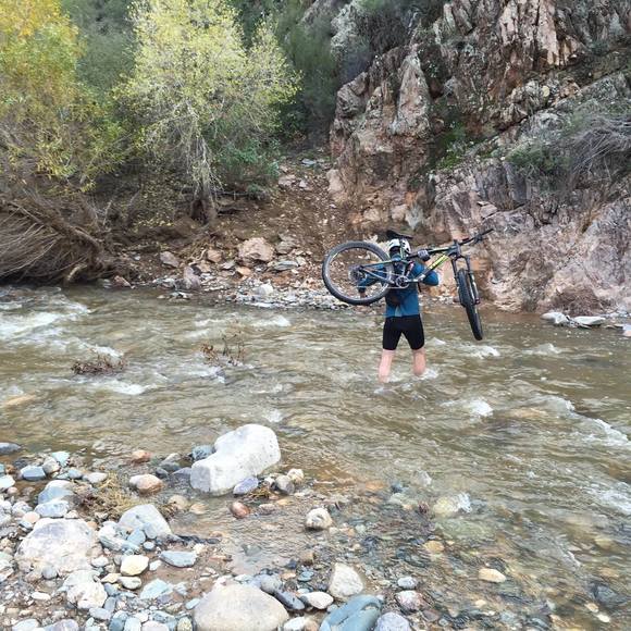 Meet your Posher, John - Picture 1 of 1